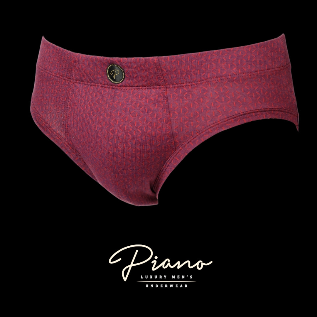 The Ambassador - burgundy briefs