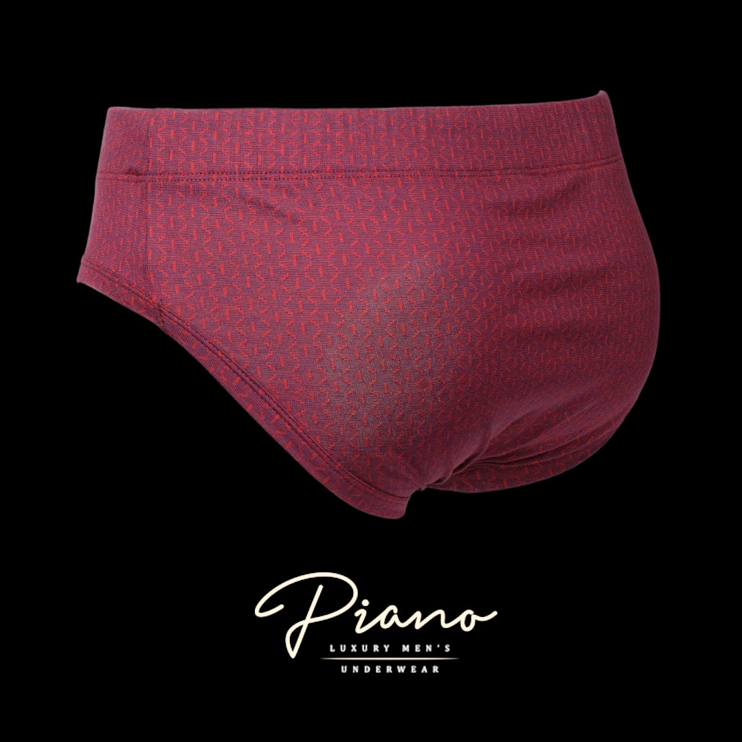 The Ambassador - burgundy briefs